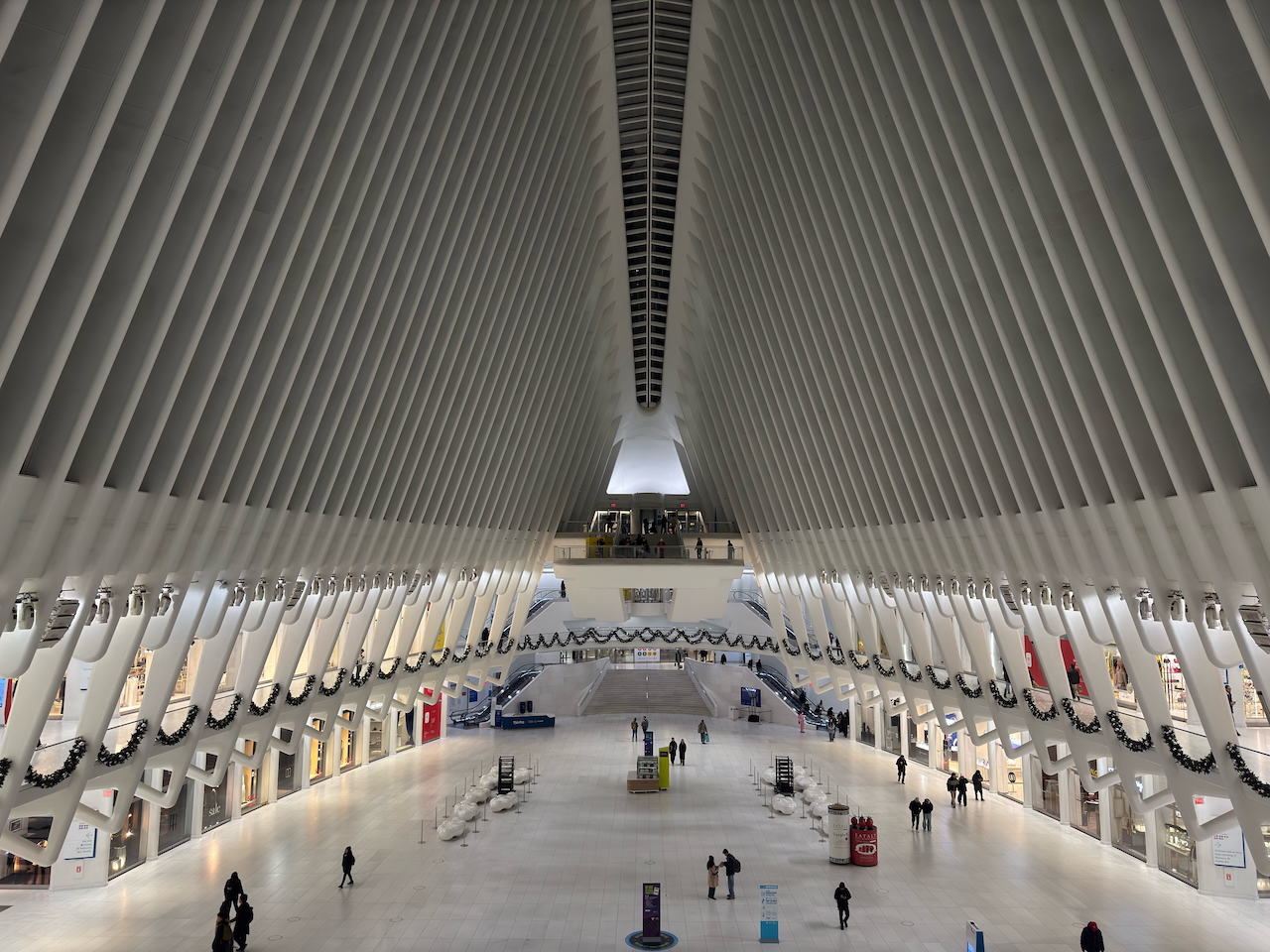 NYC Times Square night near Christmas